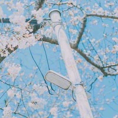 yabo官网网页版手机app下载