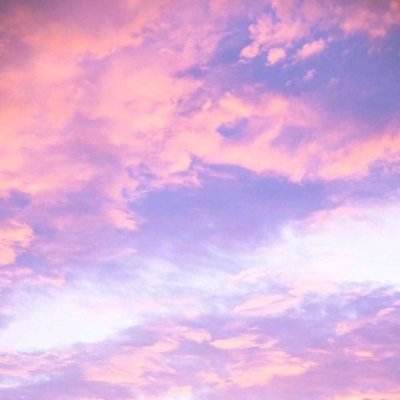 安博APP官网下载地址